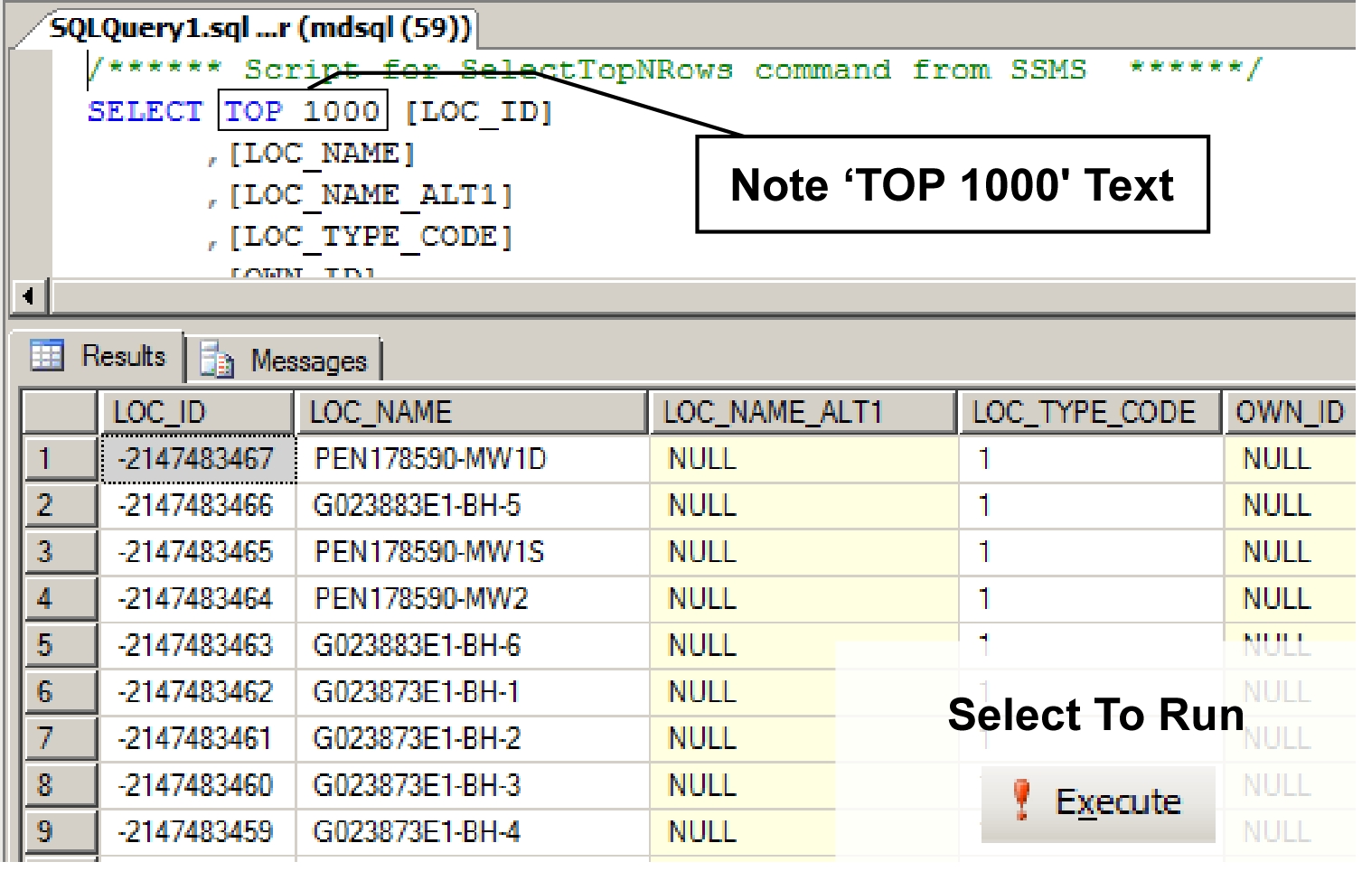 Figure 3.1.3.4 Record set returned from a successful SQL execute